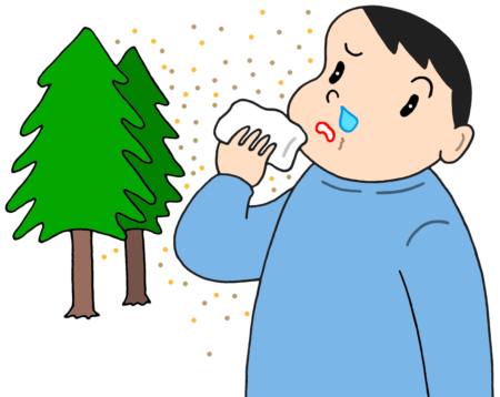 スギ花粉,花粉症,スギ花粉症,花粉アレルギー,アレルギー,アレルギー症状,アレルギー性鼻炎,鼻水,鼻炎,鼻づまり,くしゃみ,過敏症,植物アレルギー