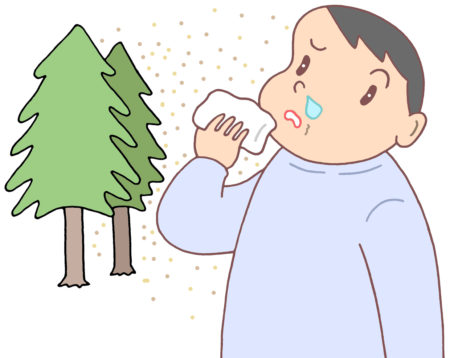 スギ花粉,花粉症,スギ花粉症,花粉アレルギー,アレルギー,アレルギー症状,アレルギー性鼻炎,鼻水,鼻炎,鼻づまり,くしゃみ,過敏症,植物アレルギー