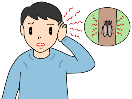 病気,疾患,疾病,聴覚障害,難聴,突発性難聴,耳鳴,耳鳴り,聴力障害