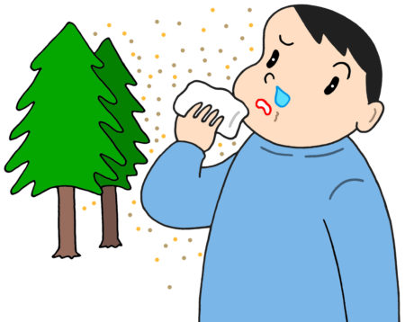アレルギー,アレルギー性鼻炎,アレルギー症状,くしゃみ,スギ花粉,スギ花粉症,植物アレルギー,花粉アレルギー,花粉症,過敏症,鼻づまり,鼻水,鼻炎