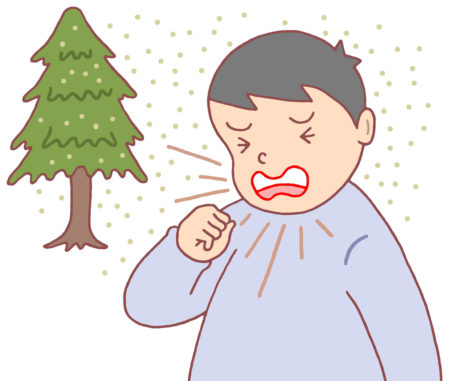 疾患,病気,疾病,花粉症,花粉アレルギー,植物アレルギー,スギ花粉,アレルギー症状,くしゃみ,鼻水,鼻炎,アレルギー性鼻炎
