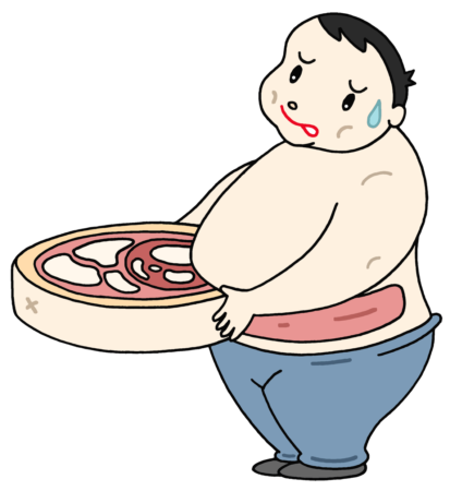 肥満,内臓脂肪,コレステロール,体脂肪,皮下脂肪,メタボ,メタボリックシンドローム,メタボリック症候群,生活習慣病